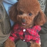 冉冉是个胆小鬼