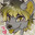 Ced The Rat (furry)