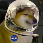 老夫聊骚少年狂