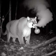 The Grink that stole Crunkmas