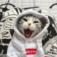 长安有个大西瓜丶