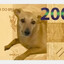 Cachorro Caramelo