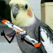 BLLB12