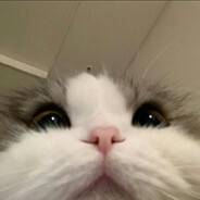 chase - steam id 76561199675700688