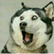 你不要过来啊！