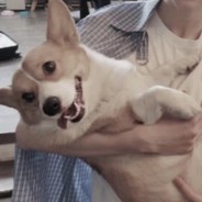 别了妹妹我喜欢奶纸