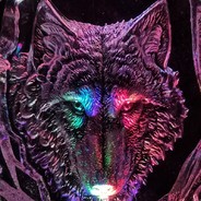 WolfenDrakken