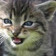 Царь во дворца