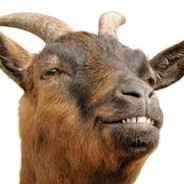 goat