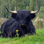 Reino