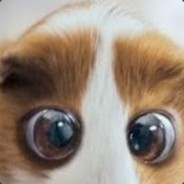 Zoiudo_006