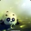 Panda_Q