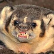 Rabid