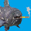 Coelacanth
