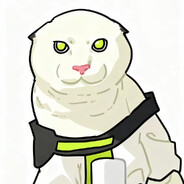 泰拉的绝兇猛虎！哈基凯