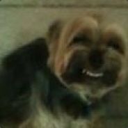 ᕕ( ᐛ )ᕗ LUIS MAURICIO