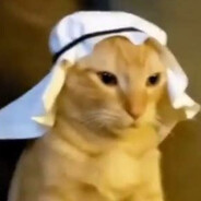 пидор шредингера