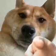 年轻人好自为之