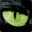 dimmorph's Avatar