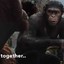 APES TOGETHER STRONG..