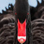 Black Dash Y