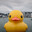 korduck