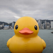 korduck