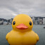 korduck