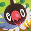 chirp chirp