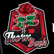 ThornBush
