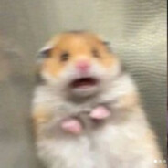 Jakubov cwelczakov.skins.army