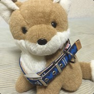 foxcake