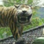 Arghhhhhhhhhhhhhhhhhhhhhhhhhhhhh