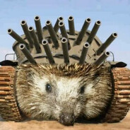 ✪ ✪ Headjehog ✪ ✪'s avatar