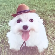 bt