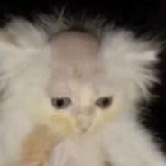 Eee