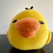 panchibrk