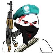 How Do I Use Gun ?