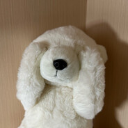 黄金波浪脆脆鼠