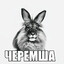 ЧЕРЕМША