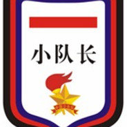 ❤少先队员小队长