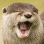 happyotter1984