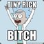 TINYRICK