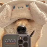 高尚的**主义战士