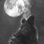 The Night Wolf