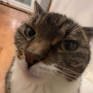 DIABEU☠☠☠200km/h