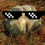 Bush