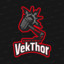 VekThor