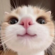 mandarin