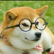 没你的蓝色天空Zz